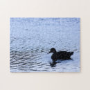 Search for wildlife photography puzzles Nature