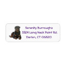 Search for rottweiler puppy return address labels Dog