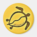Search for turtled magnets Hawaii