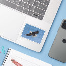 Search for white eagle stickers Animal