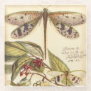 Search for leaves coasters Botanical