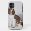 Search for springer spaniel iphone cases Animal