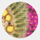 Search for barrel stickers Pink