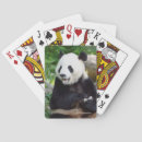 Search for bamboo playing cards Wildlife