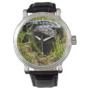 Search for small lizards accessories Wildlife