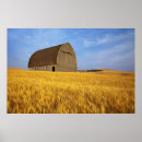 Search for crops art Barn