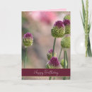 Search for icelandic birthday cards Flowers