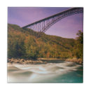 Search for forest scene tiles River