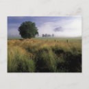 Search for smokey postcards Usa