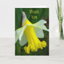 Search for daffodil thank you cards Blank