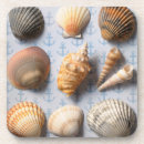 Search for backdrop coasters Beach