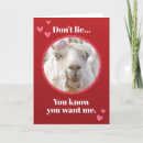 Search for llama love valentines day cards Hearts