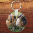 Search for baby pigs key rings Guinea