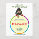 Search for pet sitter flyers Grooming