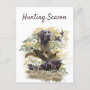 Search for pointer postcards Gsp