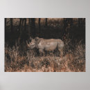 Search for rhinos posters Wild