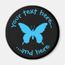 Search for butterfly magnets Insect