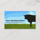 Search for cow business cards Silhouette