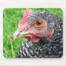 Search for chicken lover mousepads Poultry