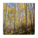 Search for fall colour tiles Superstock