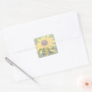 Search for rudbeckia stickers Floral