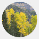 Search for aspen leaf stickers Autumn