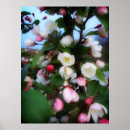 Search for cherry blossom posters Tree
