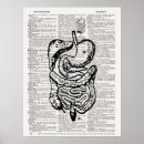 Search for medical art Illustration