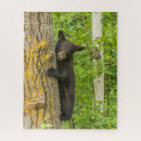 Search for black bear puzzles Climbing