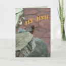 Search for bird birthday cards Garden