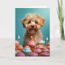 Search for cockapoo birthday cards Cute