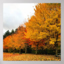 Search for autumn in the park posters Colourful
