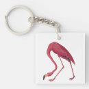 Search for flamingo bird key rings Florida