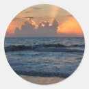 Search for tybee island stickers Joanne wells