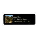 Search for palm return address labels Photography