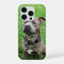 Search for staffordshire bull terrier iphone cases Dog