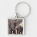 Search for tanzania key rings Tarangire national park