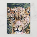 Search for cheetahs postcards Flowers