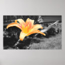 Search for spring birthday posters Blossom