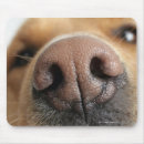 Search for noses mousepads Domestic animals