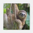 Search for sloth magnets Nature