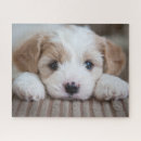 Search for baby animal puzzles Puppy