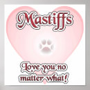 Search for mastiffs posters Breed