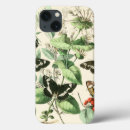 Search for butterfly cases Garden