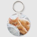 Search for fluffy key rings Animals