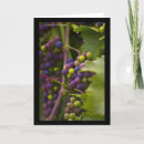 Search for grapes cards Purple