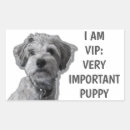Search for very cute stickers Pet