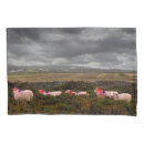 Search for sheep pillowcases Nature