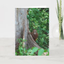 Search for tree hugger cards Nature