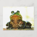Search for poses postcards Green